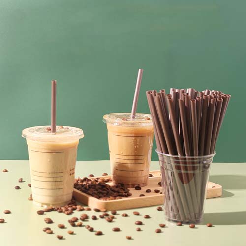 Types of Biodegradable Straws Which One Fits Your Business