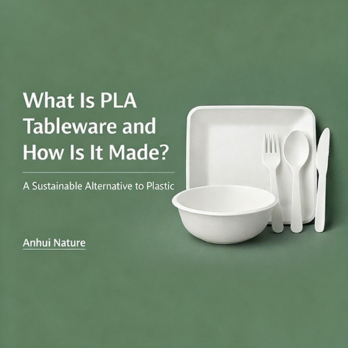 What Is PLA Tableware and How Is It Made