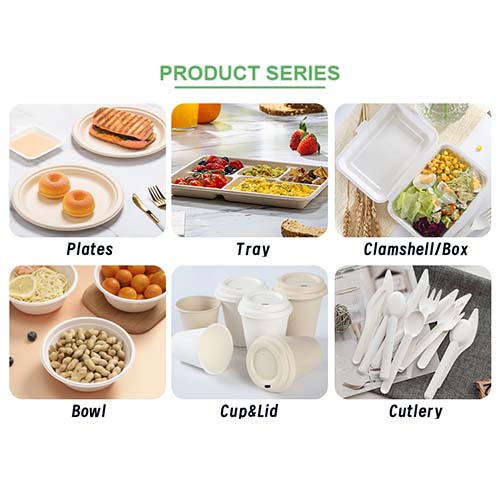 What Is Sugarcane Tableware A Complete Guide for Eco-Friendly Food Packaging