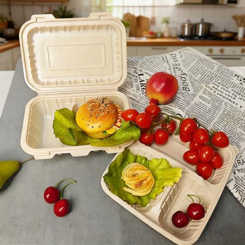 Why Rice Husk Is a Great Material for Disposable Lunch Boxes