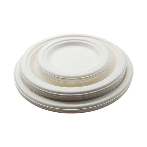 3-Compartment Sugarcane Bagasse Plate