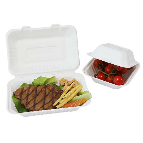 9 Inch Sugarcane Clamshell