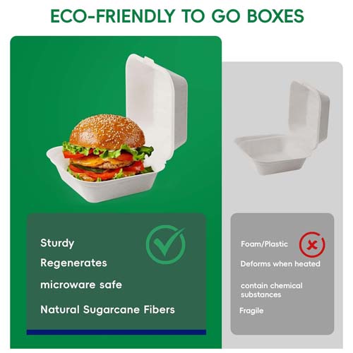 9 Inch Sugarcane Clamshell