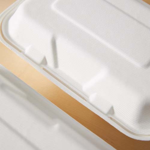 9 Inch Sugarcane Clamshell