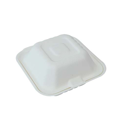 9 Inch Sugarcane Clamshell