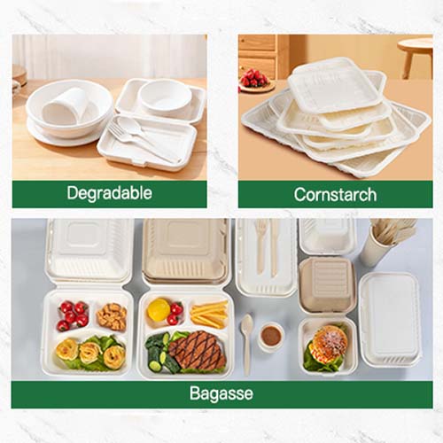 Are Compostable Food Containers Worth the Cost
