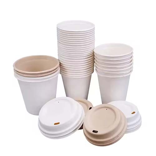 Biodegradable Cornstarch 10oz Cup