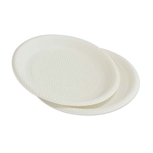 Cornstarch 9 Inch Plate
