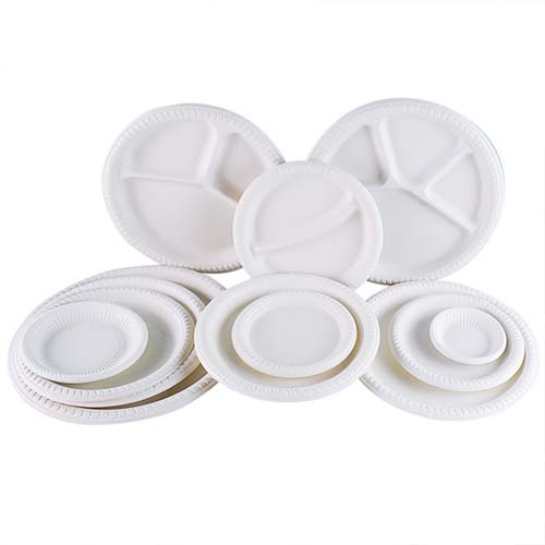 Cornstarch 9 Inch Round Dinner Plate
