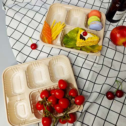 Rice Husk 600ml Food Box