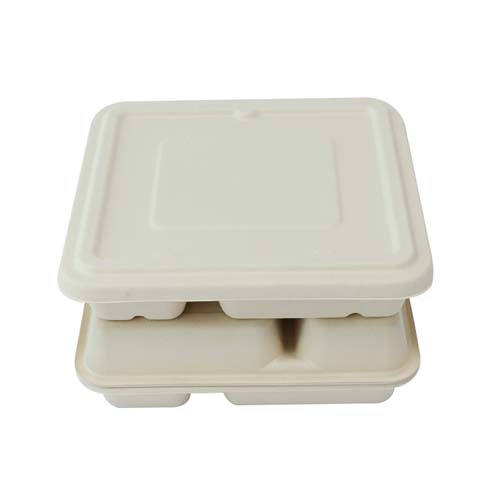 Sugarcane 2-Compartment Tray