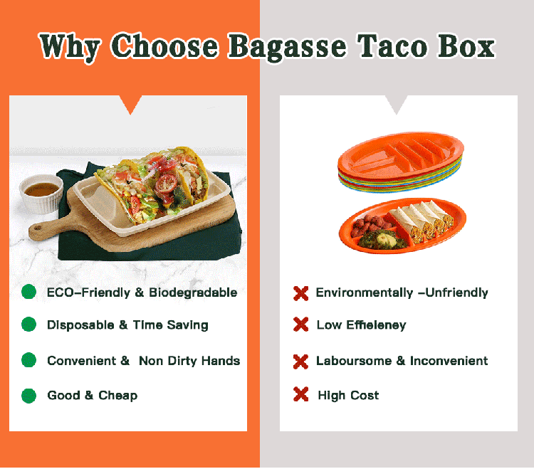 Sugarcane 3-Compartment Box