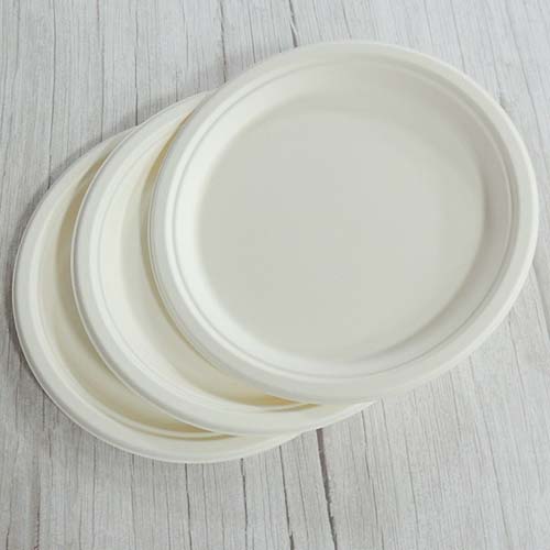 Sugarcane 6 Inch Compostable Plate