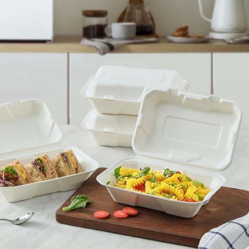 Sugarcane Bagasse 750ml Square Food Box