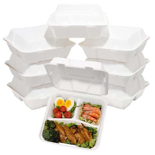 Sugarcane Bagasse 850ml Takeout Box