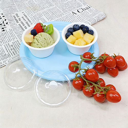 Sugarcane Bagasse Ice Cream Bowl with Lid