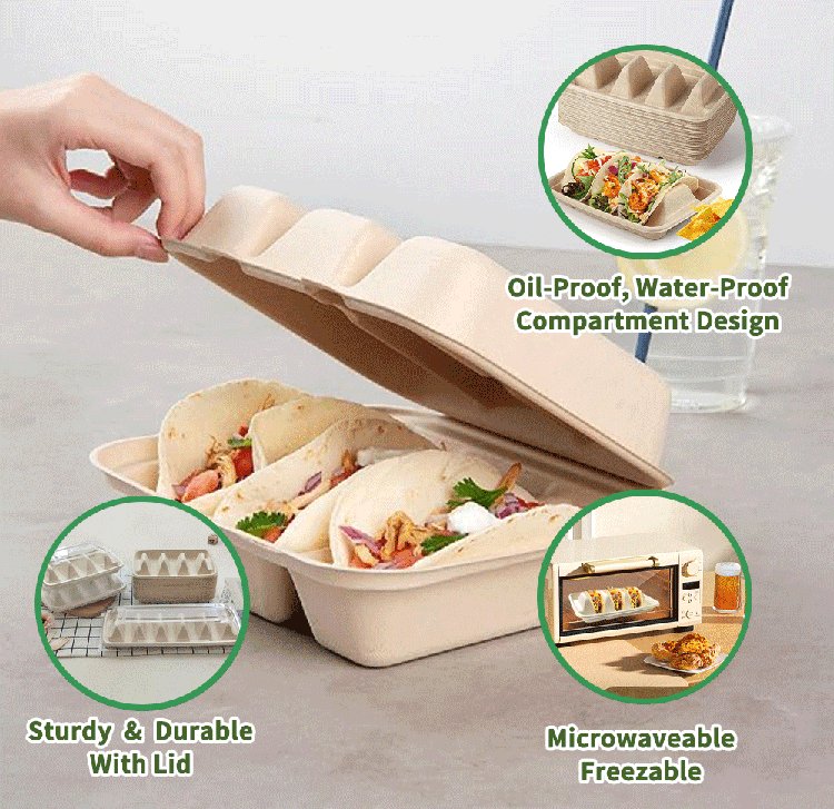 Sugarcane Bagasse Taco Holder Tray