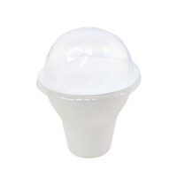 Sugarcane Pulp Ice Cream Container