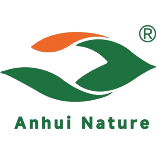 100% Biodegradable Food Containers Packaging Wholesale Supplier