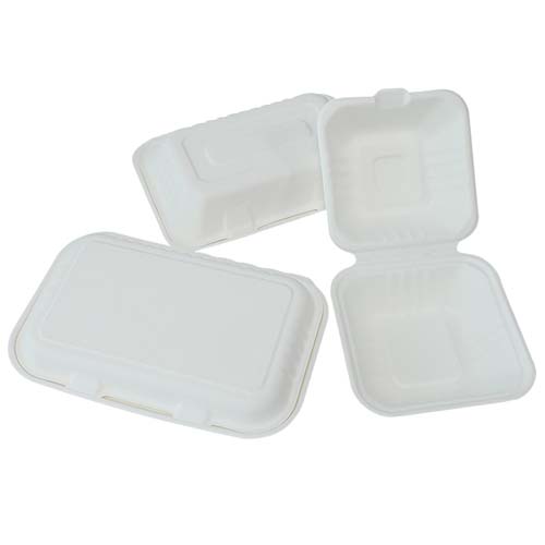 1000ml Sugarcane Clamshell Lunch Box
