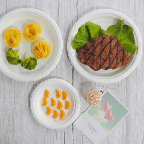 11inch Bagasse Food Plate