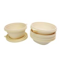 24oz Cornstarch Salad Bowl