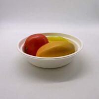 32oz Sugarcane Bagasse Noodle Bowl