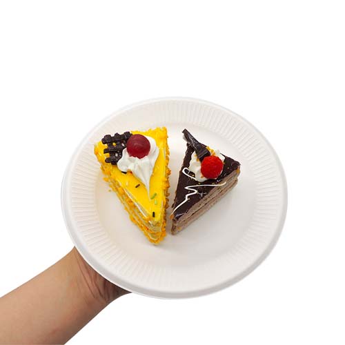 7 Inch Sugarcane Bagasse Dessert Plate