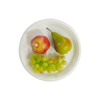 8 Inch Sugarcane Bagasse Food Plate