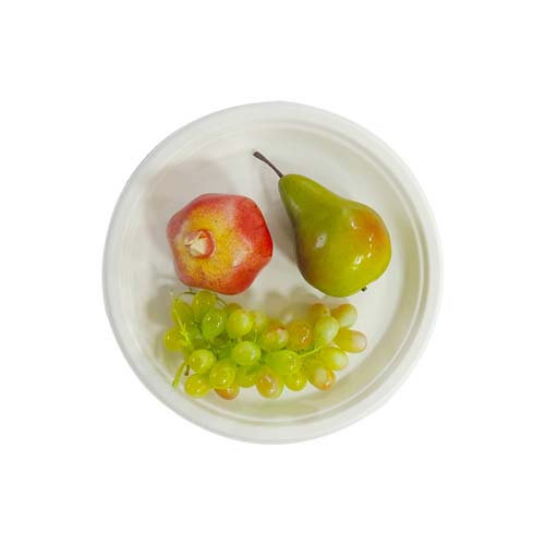 8 Inch Sugarcane Bagasse Food Plate