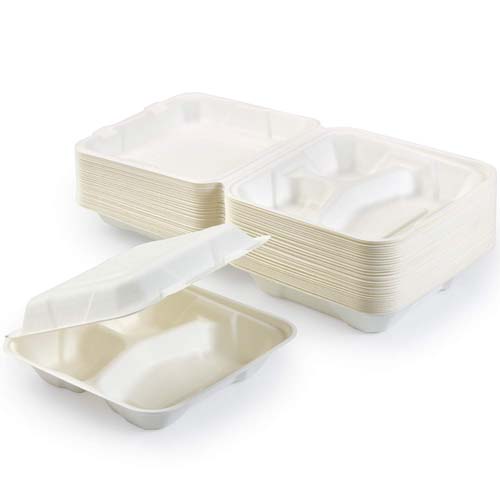 800ml Sugarcane Takeout Container