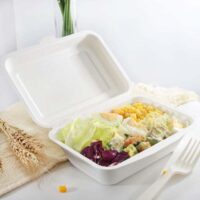 Bagasse 750ml Lunch Box