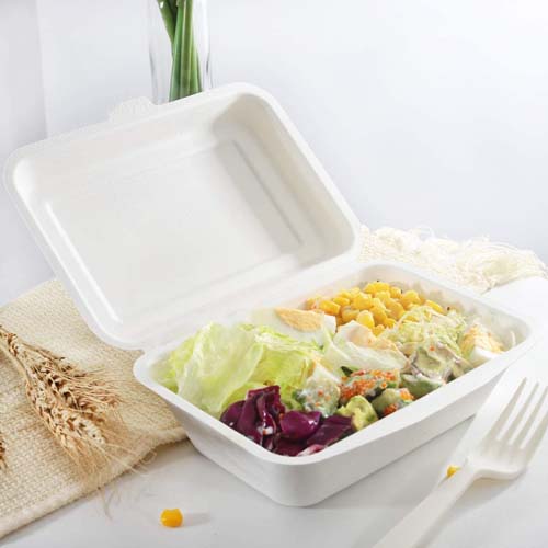 Bagasse 750ml Lunch Box