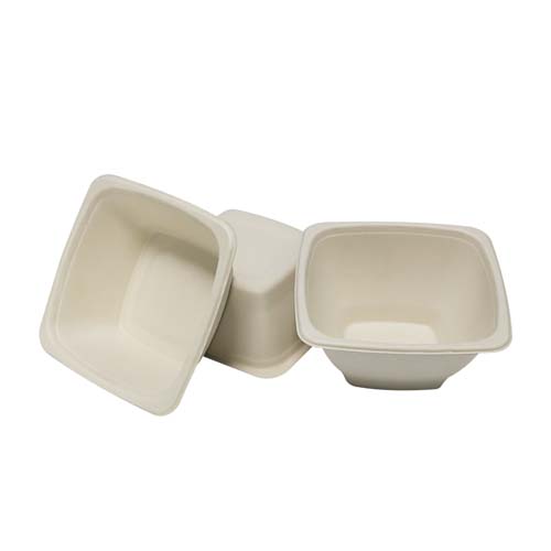 Disposable 500ml Bagasse Noodle Bowl