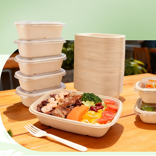 Eco Tableware Certifications Explained ASTM, EN, ISO – What They Mean