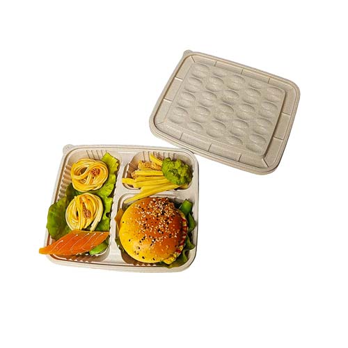 Rice Husk 3-Compartment Box