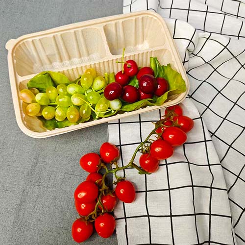 Rice Husk 3-Compartment Meal Box