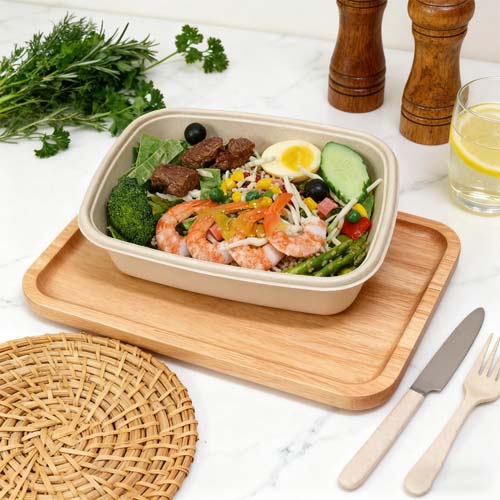 Sugarcane Bagasse 500ml Bowl for Salad