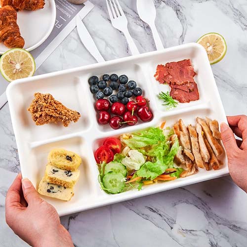 Sugarcane Bagasse Tableware Benefits & Use Cases Every Buyer Should Know
