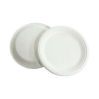 10inch Sugarcane Dinner Plate