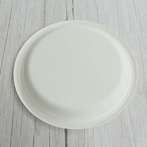 12inch Bagasse Food Plate