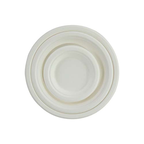 12inch Bagasse Food Plate