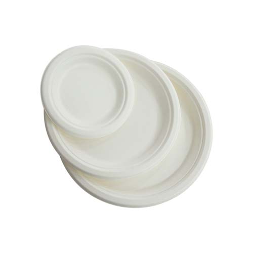 12inch Bagasse Food Plate