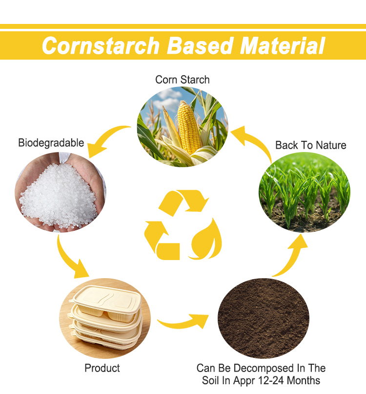 2-3-4-5 Compartment Cornstarch Lunch Box