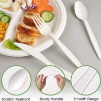 6.5inch CPLA Cutlery Set
