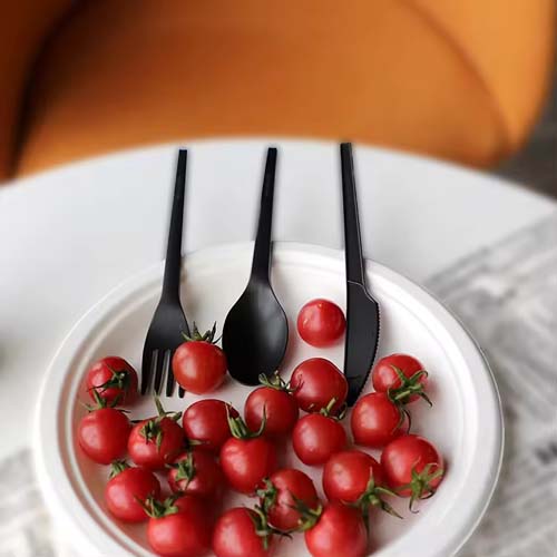 6.5inch CPLA Cutlery Set