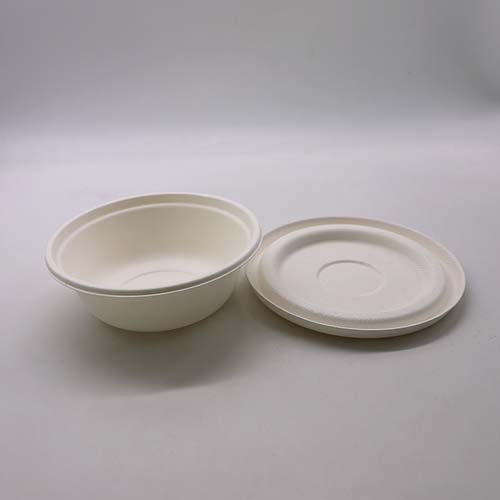 600ml Bagasse Noodle Bowl