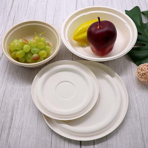 600ml Biodegradable Sugarcane Bowl