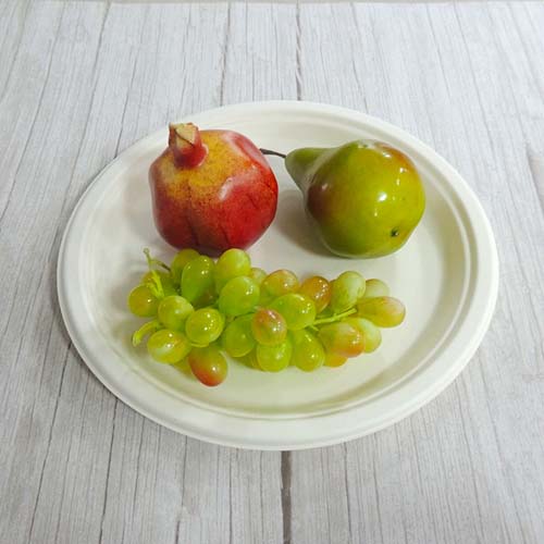 8 Sugarcane Round Plate