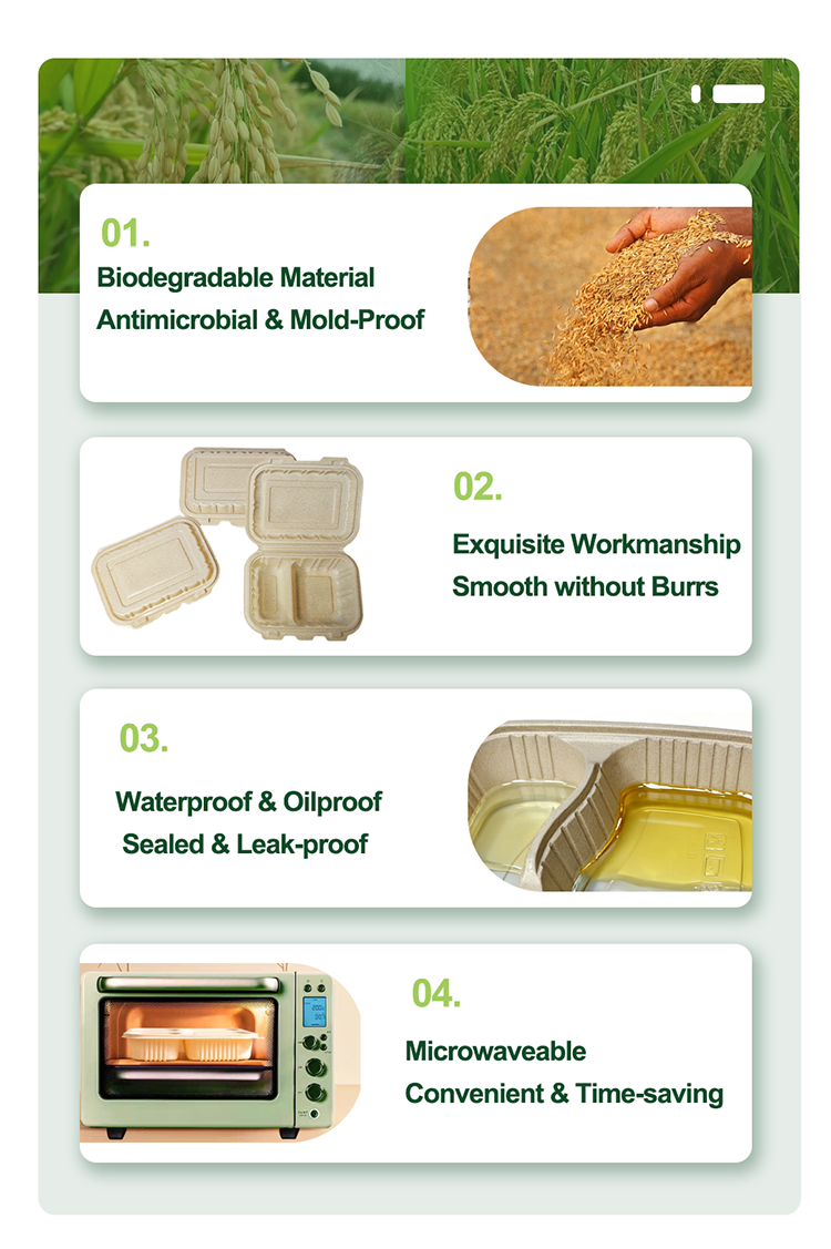 800ml Rice Husk Food Lunch Box